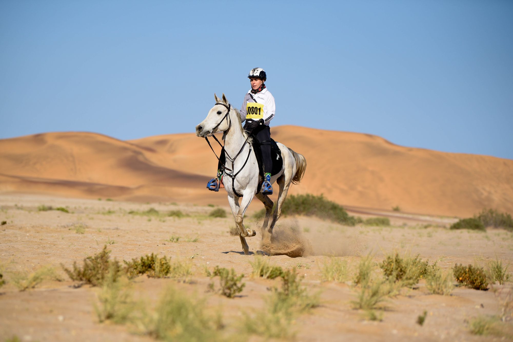 Highlights (97 of 231)_resized.jpg